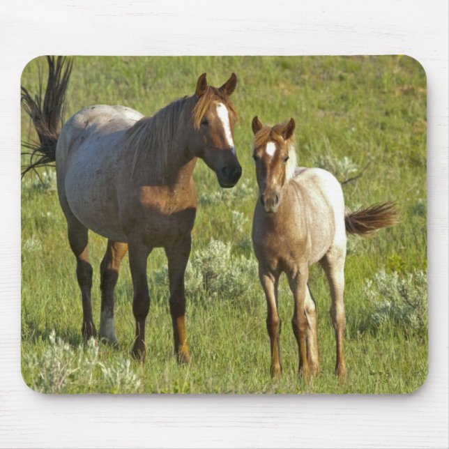 Mousepad US35 CHA0209.jpg (Frente)