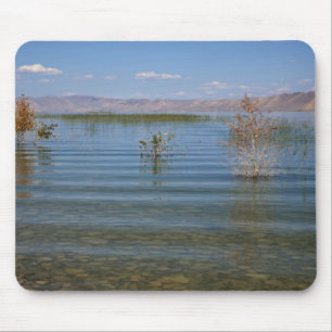 Mousepad UT, Bear Lake