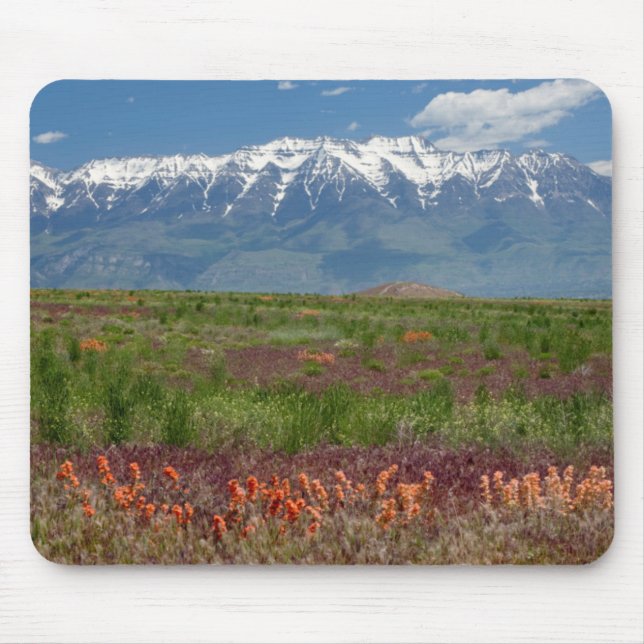 Mousepad Utah, EUA. O Monte Timpanogos se Eleva (Frente)