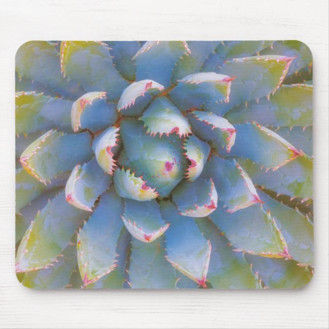 Mousepad Utah, Floresta Nacional Dixie. Close-up de yucca (Frente)