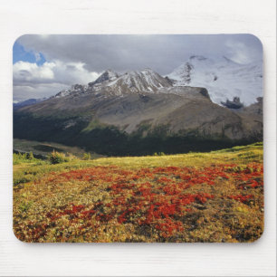 Mousepad Uva-ursina no início do outono Pico Athabasca no
