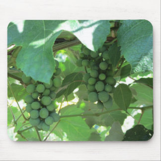 Mousepad Uvas nas videiras