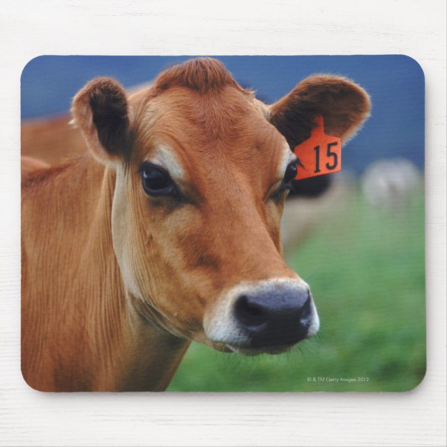 Mousepad vaca 2 (Frente)