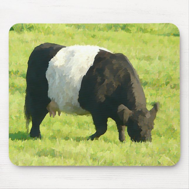 Mousepad Vaca cercada olhar pintada de Galloway no campo (Frente)