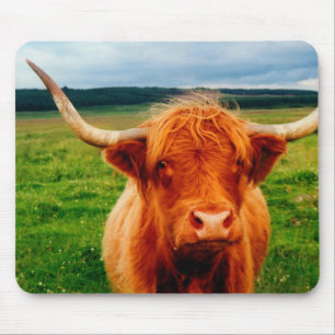 Mousepad Vaca das montanhas
