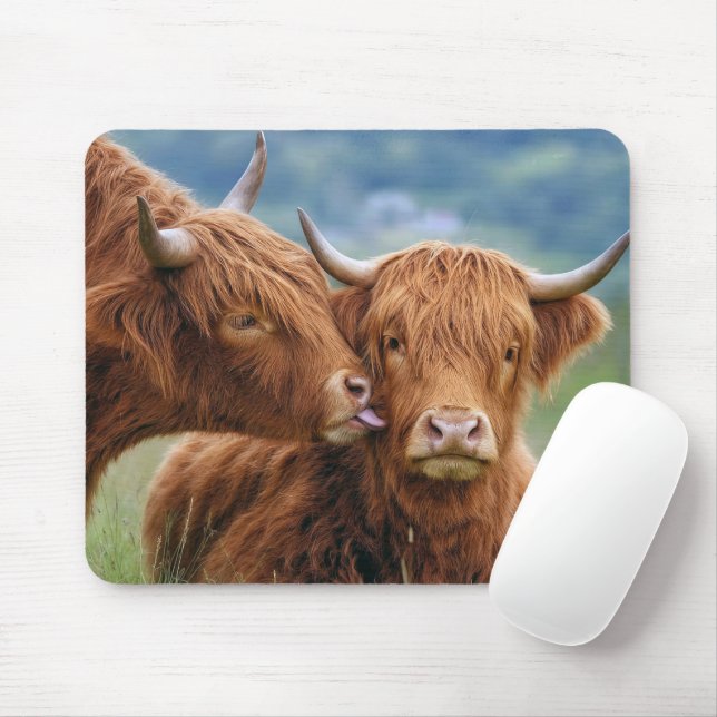 Mousepad Vaca das Terras Altas beijando vaca (Com mouse)
