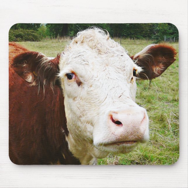 Mousepad Vaca de carne enfrentada branca (Frente)