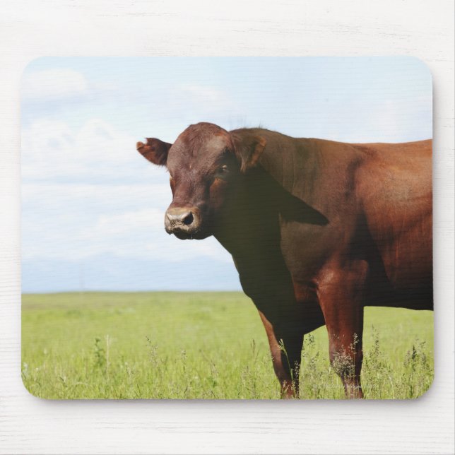 Mousepad Vaca de carne no campo (Frente)