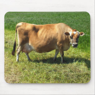 Mousepad Vaca de Jersey nas Ilhas do Canal