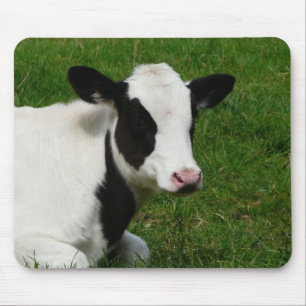 Mousepad Vaca de leite da leiteria de Holstein na grama