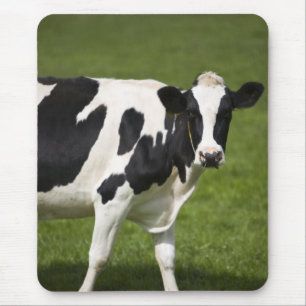 Mousepad Vaca do frisão