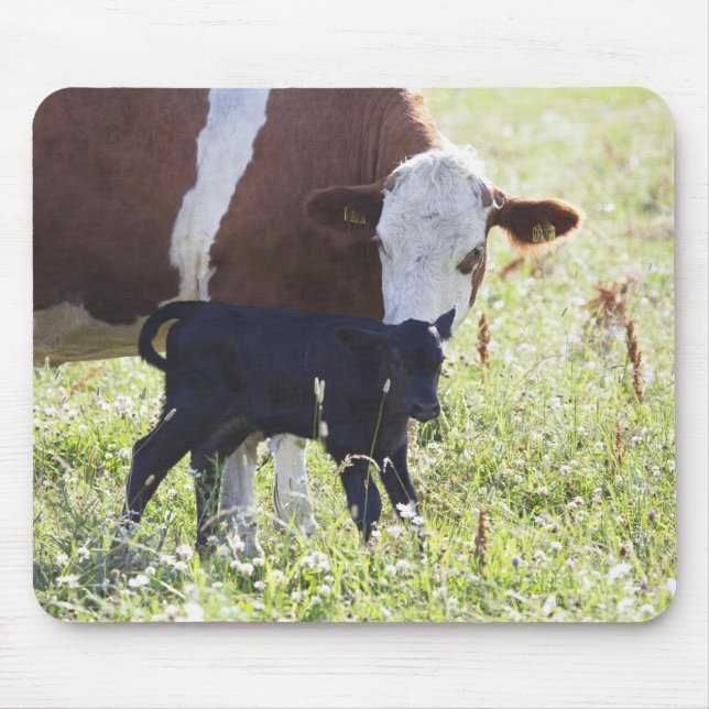 Mousepad Vaca e vitelo (Frente)