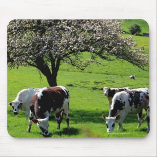 Mousepad Vaca entre árvores de maçã de florescência em