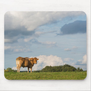 Mousepad Vaca loura na região de Dordogne, France do