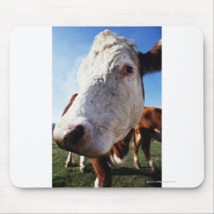 Mousepad Vaca no campo, fim-acima