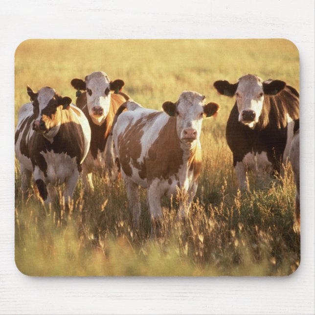 Mousepad Vacas (Frente)