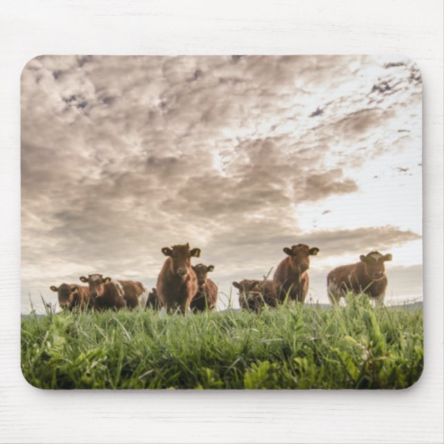 Mousepad Vacas (Frente)