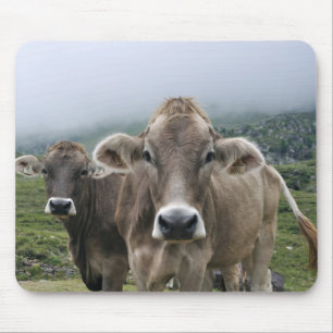 Mousepad Vacas alpinas