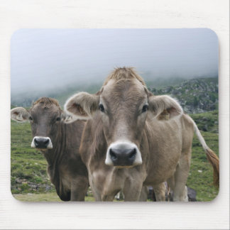Mousepad Vacas alpinas