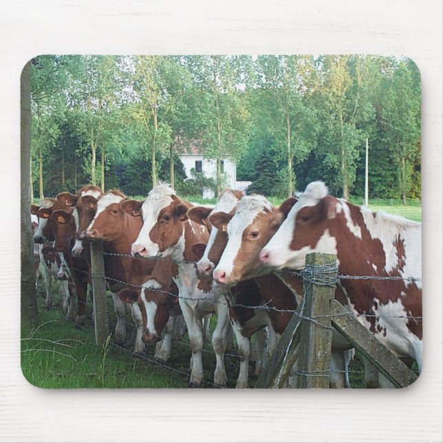 Mousepad Vacas Curiosas (Frente)