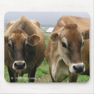 Mousepad Vacas curiosas