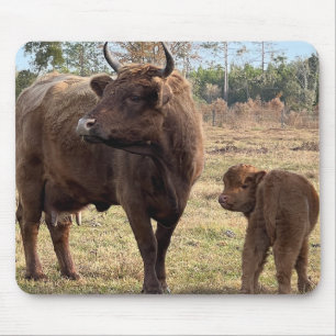 Mousepad Vacas da Highland Mama e Bebê Cabeças Virando