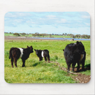 Mousepad Vacas De Múmia E Bebê Galloway, Bocal