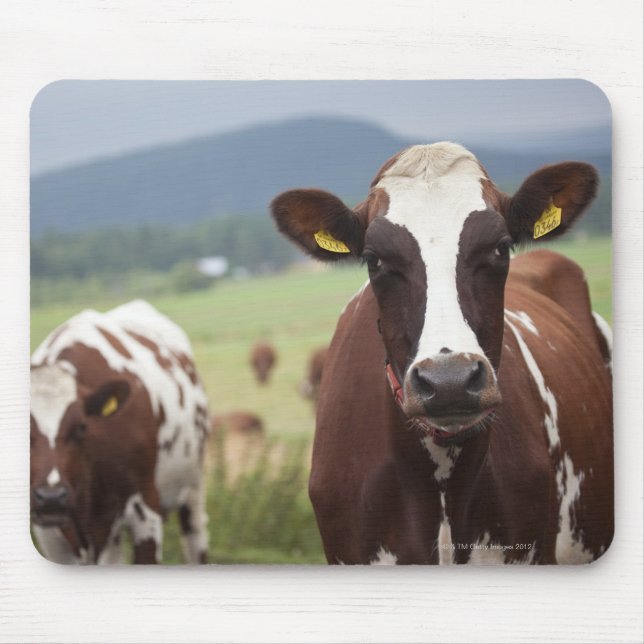 Mousepad Vacas de pastagem (Frente)