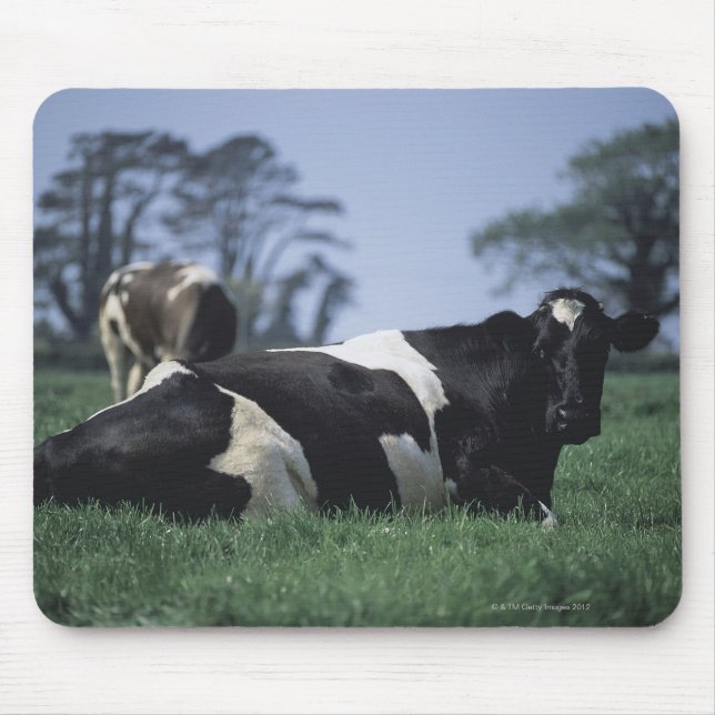 Mousepad vacas em pastagem (Frente)