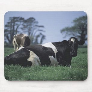 Mousepad vacas em um pasto