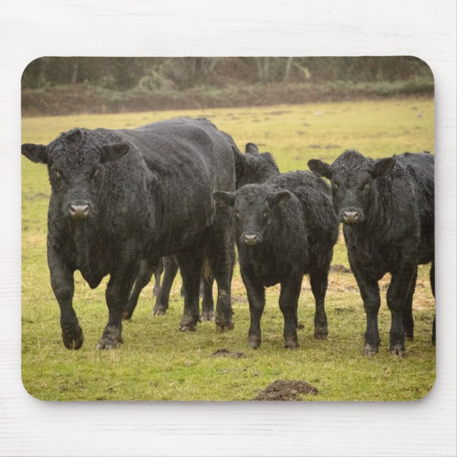 Mousepad Vacas na chuva (Frente)