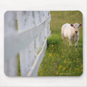 Mousepad Vacas no campo