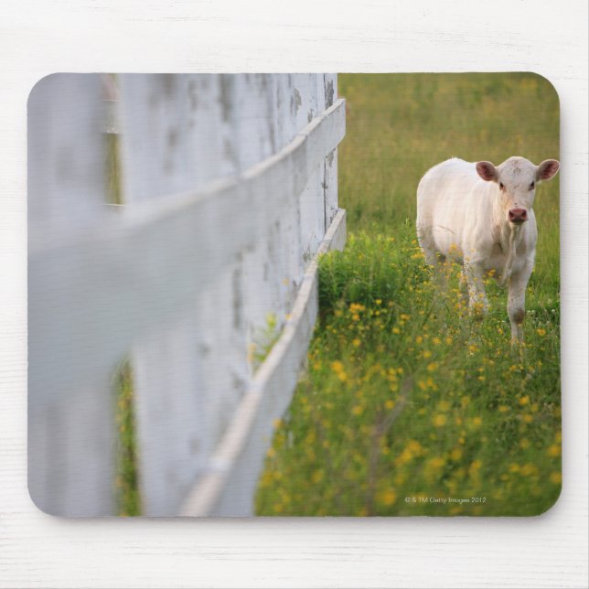 Mousepad Vacas no campo (Frente)