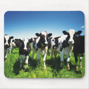 Mousepad Vacas no campo, cidade de Betsukai, Hokkaido