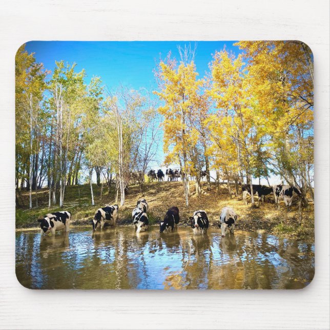 Mousepad Vacas no outono no Pond (Frente)
