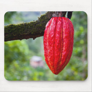 Mousepad vagem de cacau vermelha