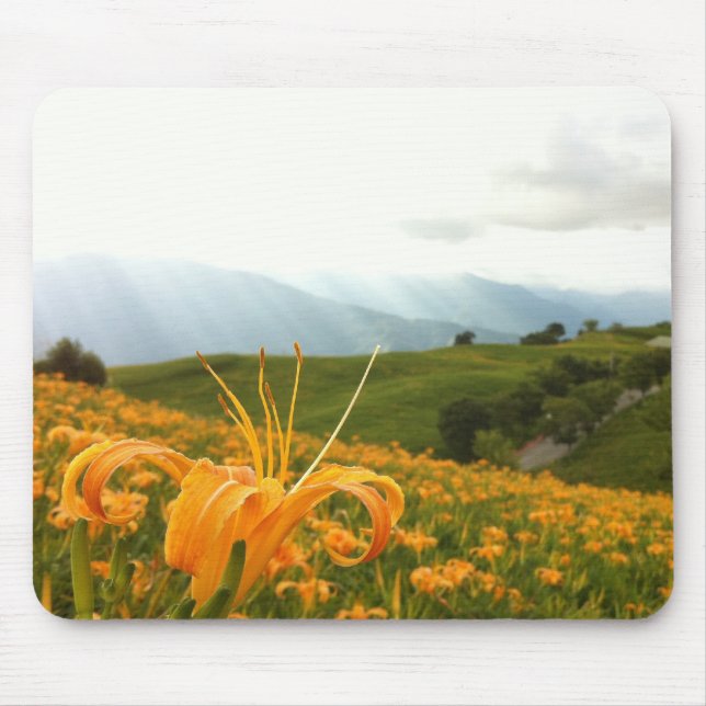 Mousepad Vale dourado da flor do hemerocallis (Frente)