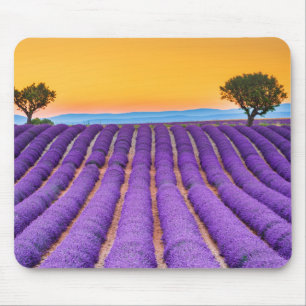 Mousepad Valensole - Provence França