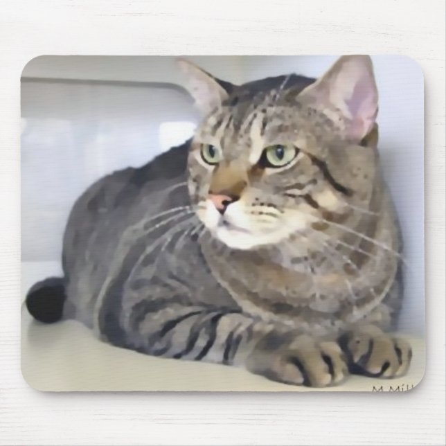 Mousepad Van Helsing (Frente)