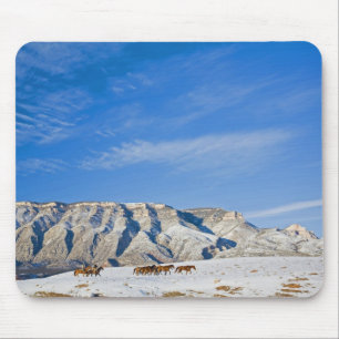 Mousepad Vaqueiros com Rebanho de Cavalos