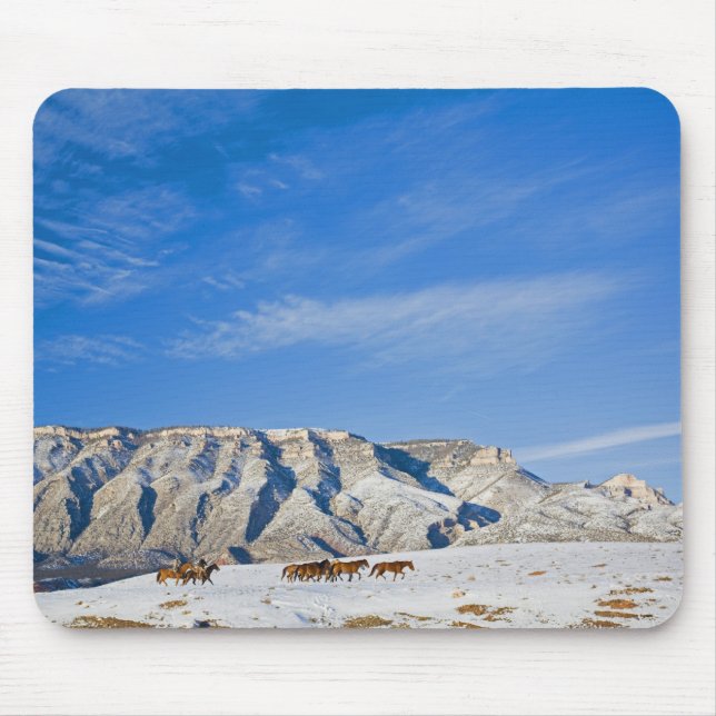 Mousepad Vaqueiros com Rebanho de Cavalos (Frente)