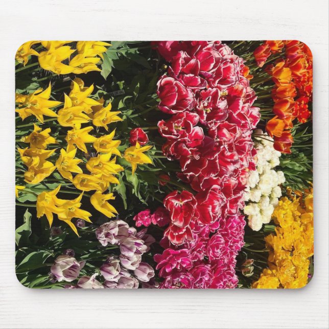 Mousepad Variedade de Tulipas (Frente)