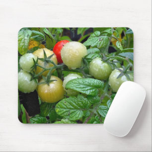 Mousepad Vários Palcos de tomate de cereja amadurecida