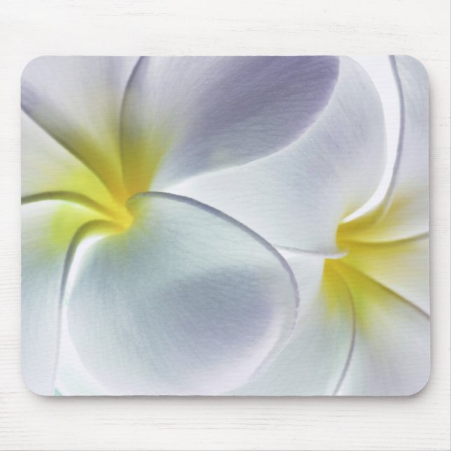 Mousepad Vazio personalizado flor de Havaí do Frangipani do (Frente)
