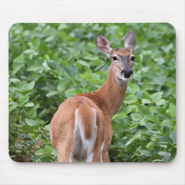 Mousepad Veado Branco (Frente)
