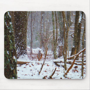 Mousepad veado-cauda-branco na neve