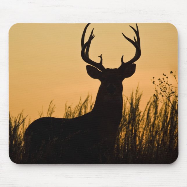 Mousepad veado-mateiro Odocoileus virginianus) (Frente)
