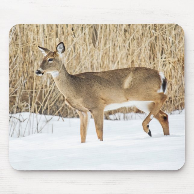 Mousepad Veado na neve (Frente)
