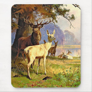 Mousepad Veado Vermelho E Branco Perto De Um Pond Da Flores