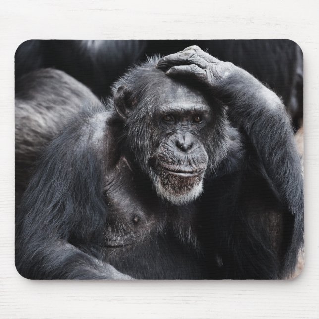 Mousepad Velho chimpanzé (Frente)